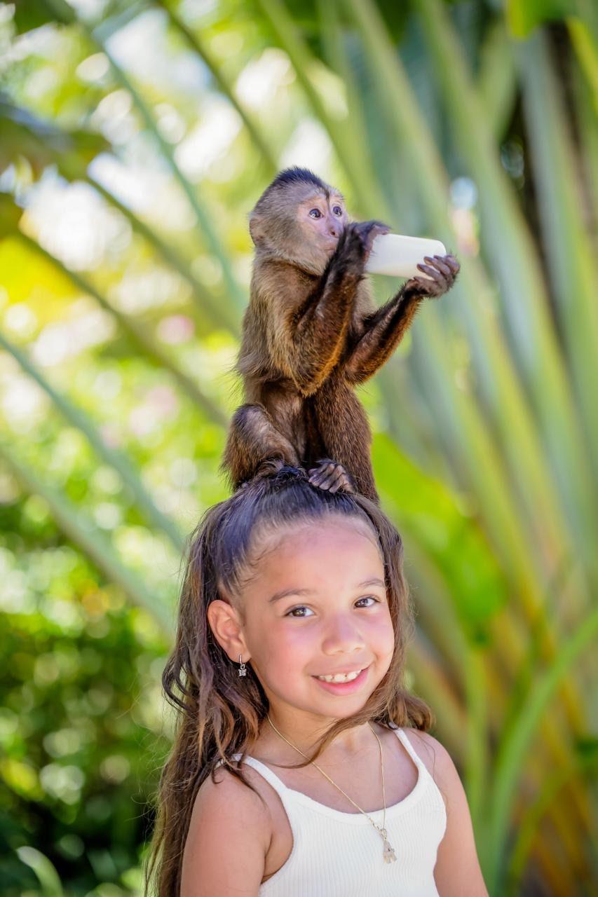 Safari Adventure