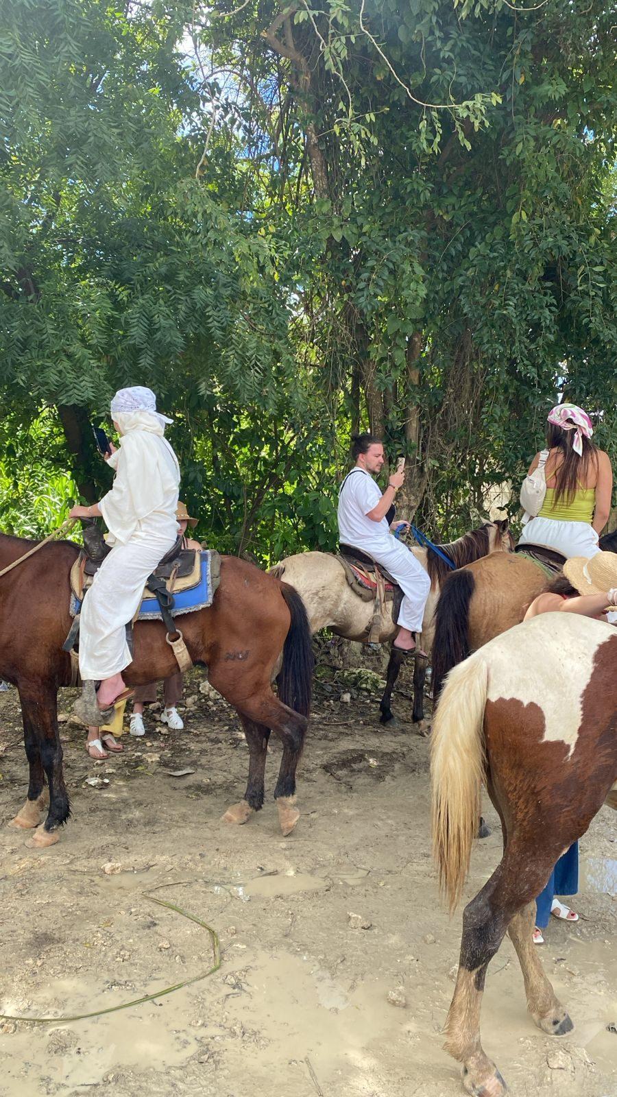 Safari Adventure